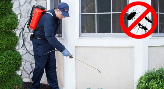 Senirkent Kemirgen İlaçlama böcek ilaçlama ve haşere kontrolü — ilaclama-tr.com
